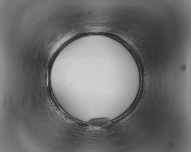 X0000115601317200912011517