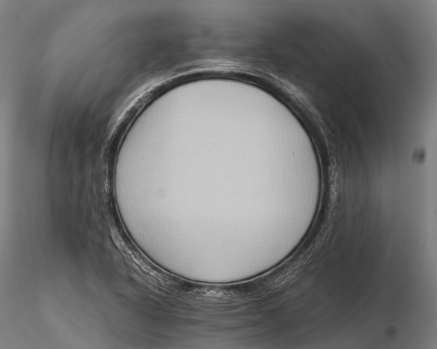 X0000115601318200912011517