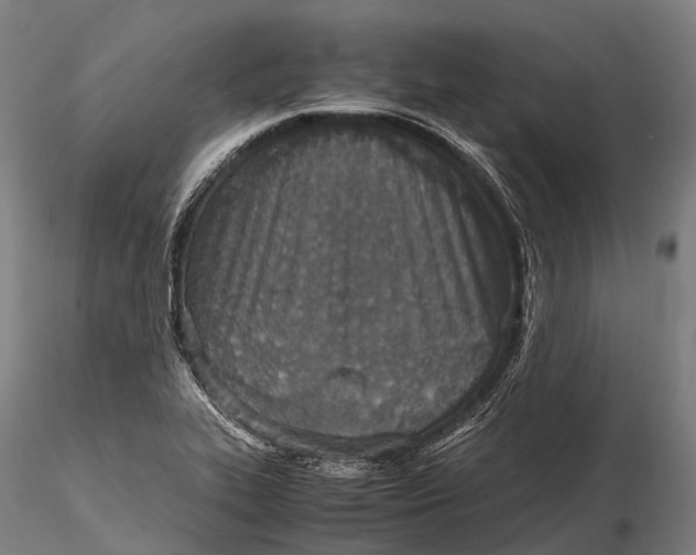 X0000115601319200912011517