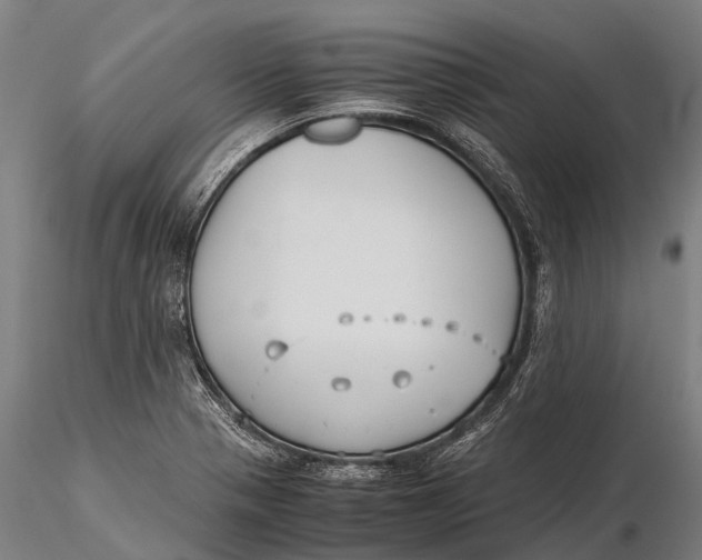 X0000115601321200912011518