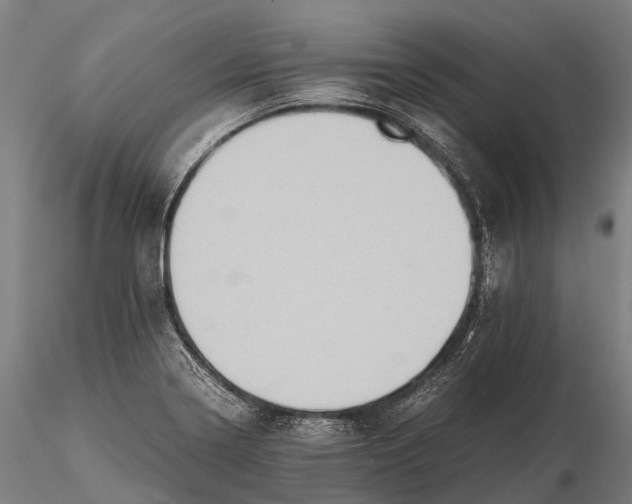 X0000115601322200912011518