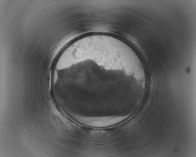 X0000115601323200912011518