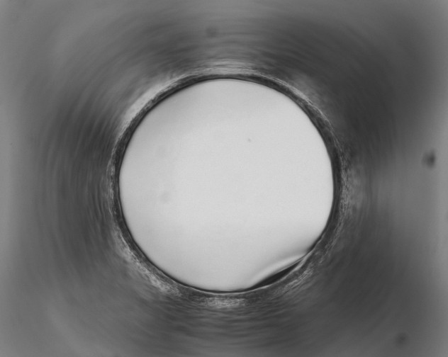 X0000115601325200912011518