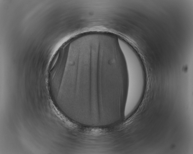 X0000115601326200912011518