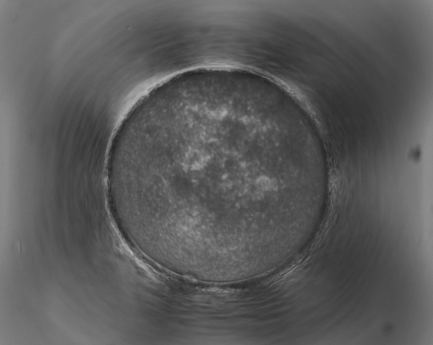 X0000115601327200912011518