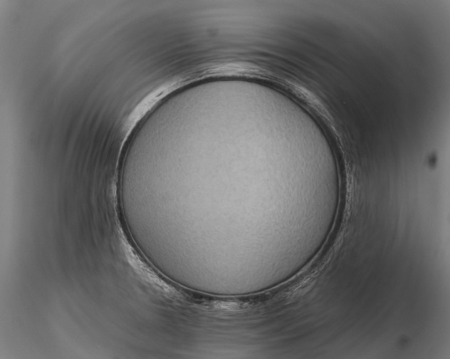 X0000115601330200912011518