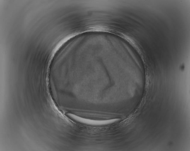 X0000115601331200912011518