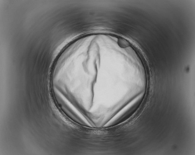 X0000115601333200912011518