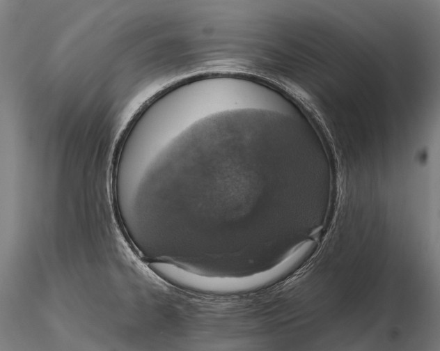 X0000115601334200912011518