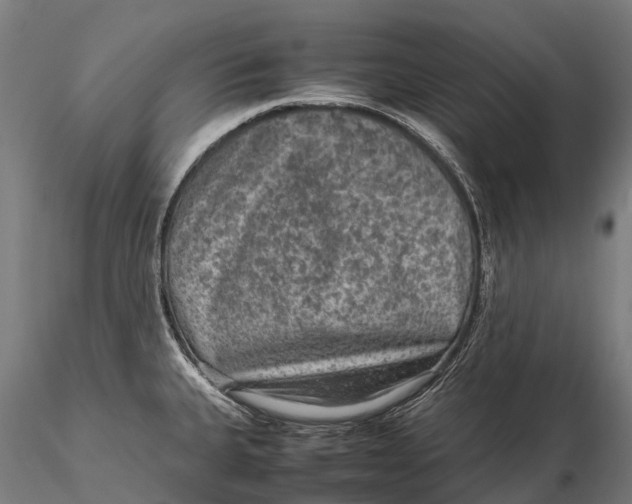 X0000115601335200912011518