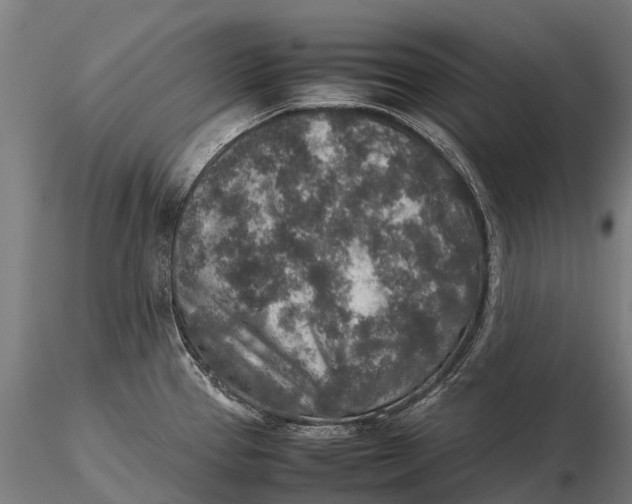 X0000115601337200912011518