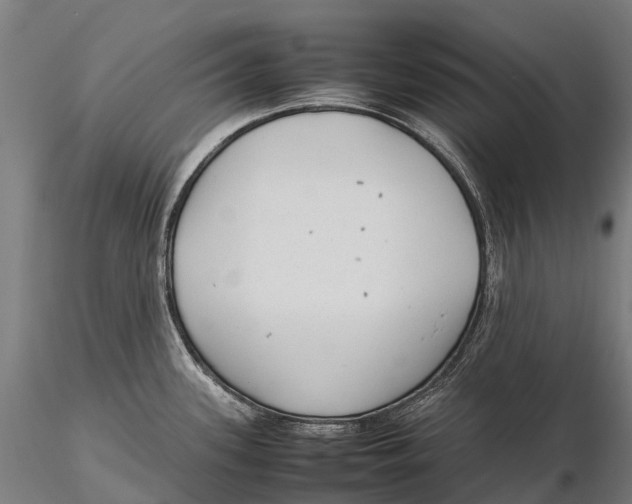 X0000115601339200912011518