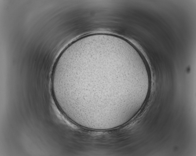 X0000115601341200912011518