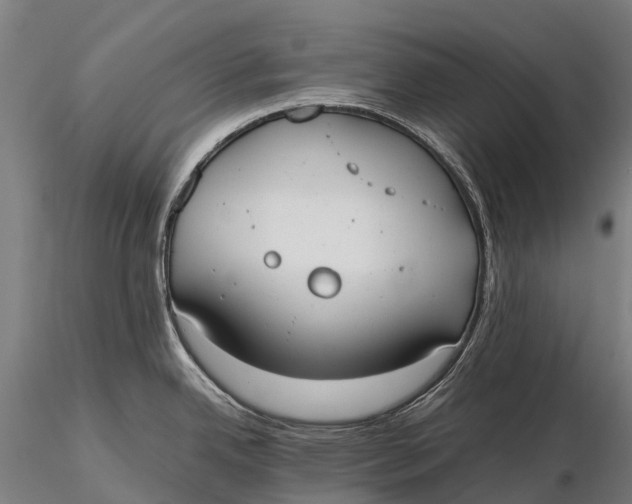 X0000115601342200912011518