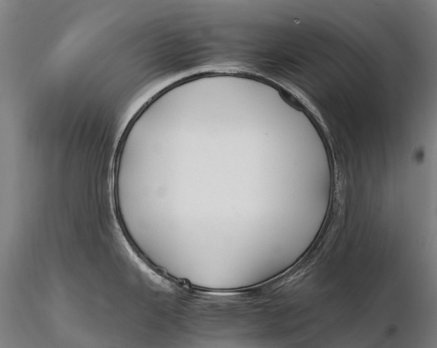 X0000115601343200912011518