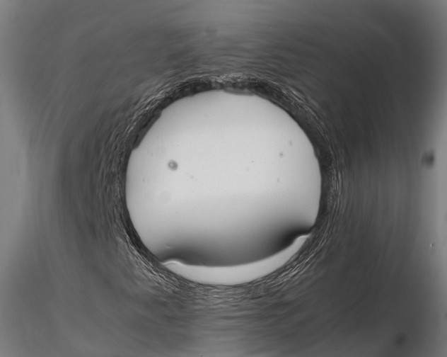 X0000115601345200912011517