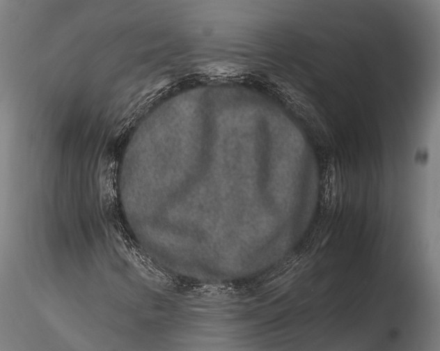 X0000115601346200912011517