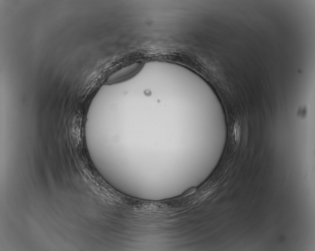 X0000115601348200912011517