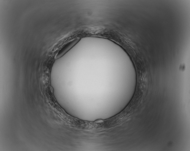 X0000115601349200912011517