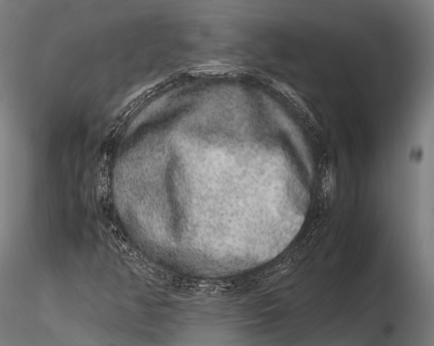 X0000115601350200912011517