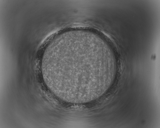 X0000115601351200912011517