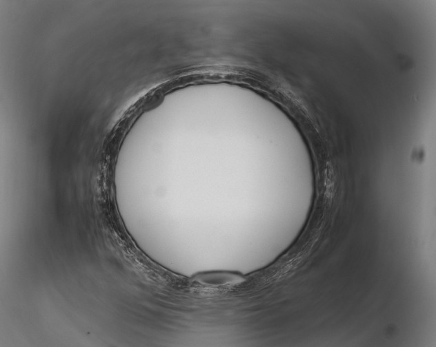 X0000115601352200912011517