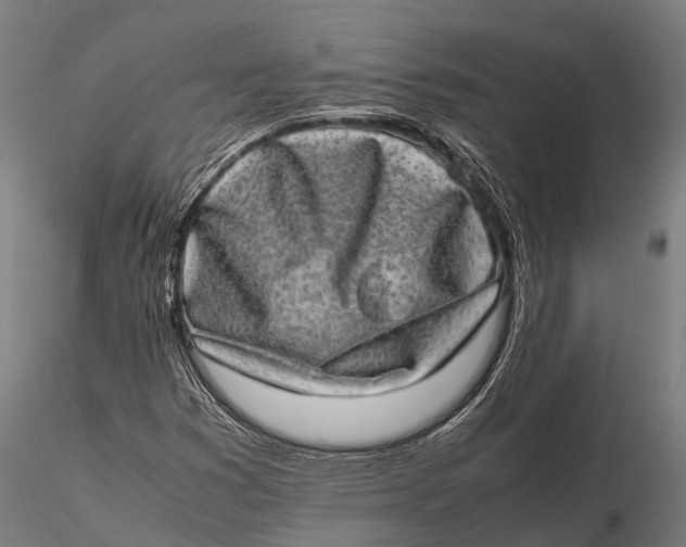 X0000115601353200912011517