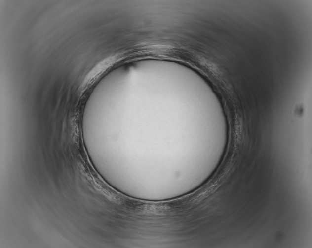 X0000115601354200912011517