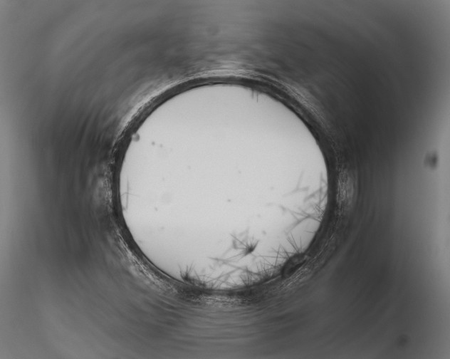 X0000115601356200912011517