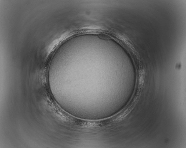 X0000115601357200912011517