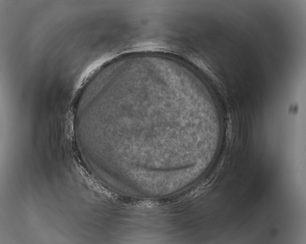 X0000115601358200912011517