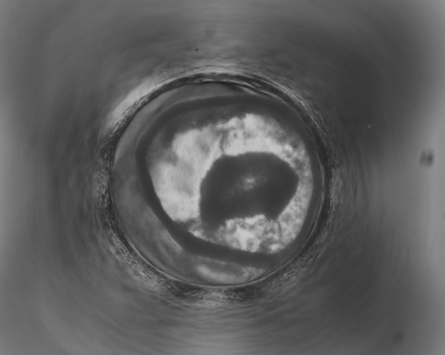 X0000115601359200912011517