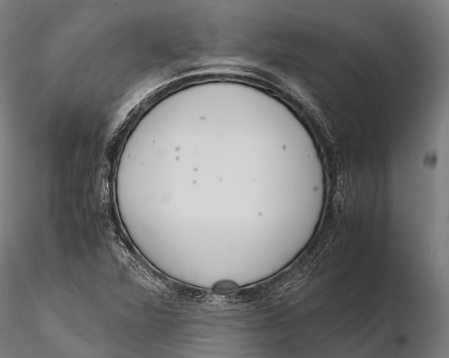 X0000115601360200912011517