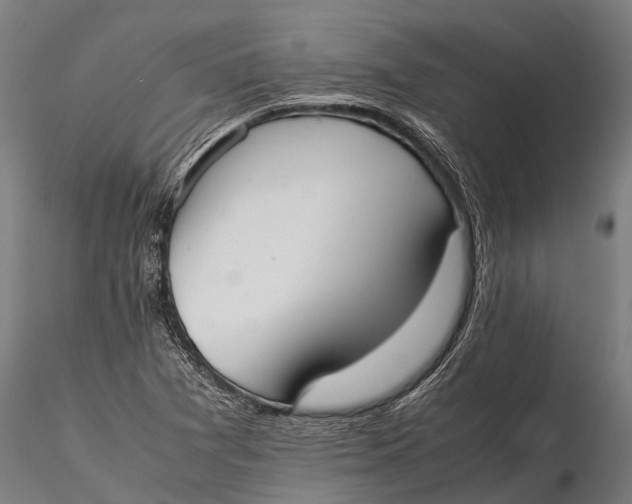 X0000115601361200912011517