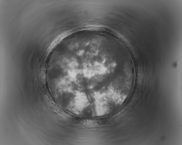 X0000115601362200912011517