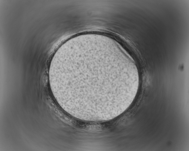 X0000115601363200912011517