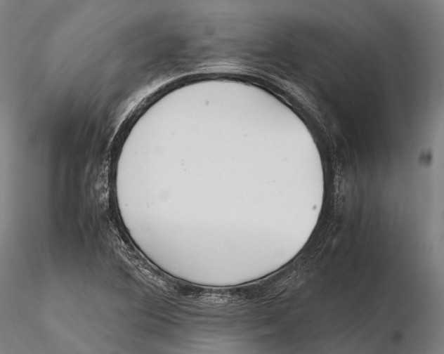 X0000115601364200912011517