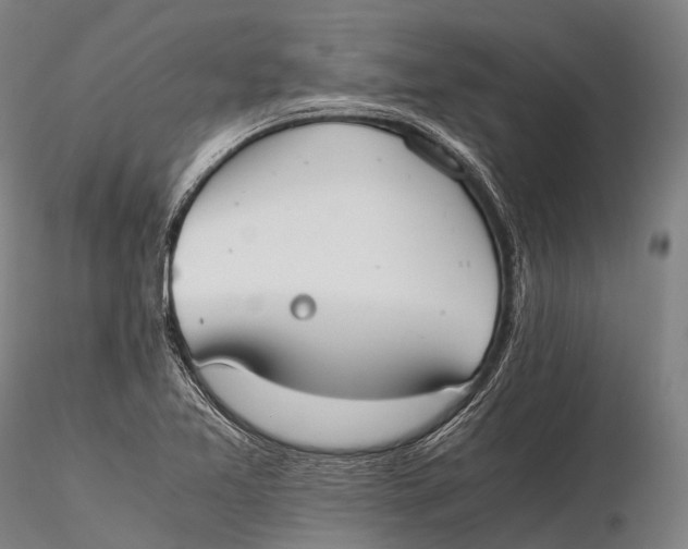 X0000115601365200912011517