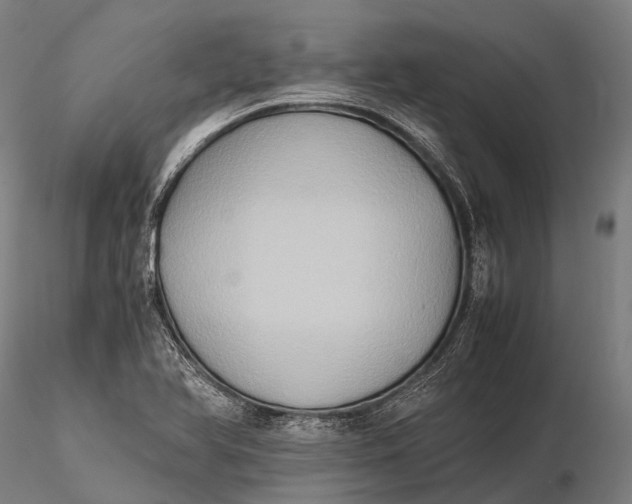 X0000115601366200912011517