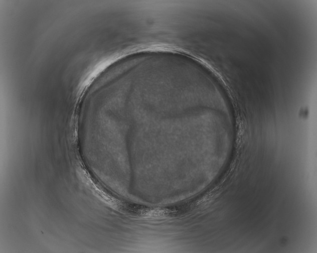 X0000115601367200912011517