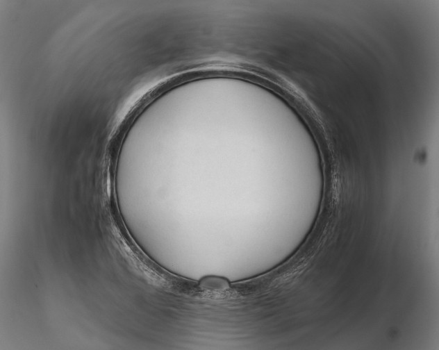 X0000115601368200912011517