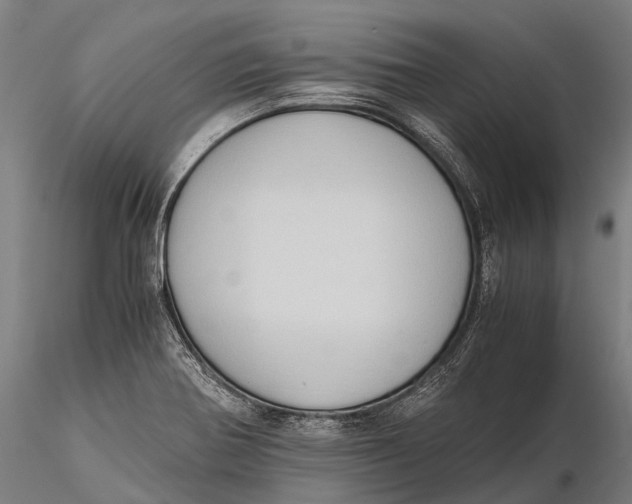 X0000115601370200912011517