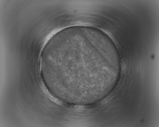 X0000115601371200912011517