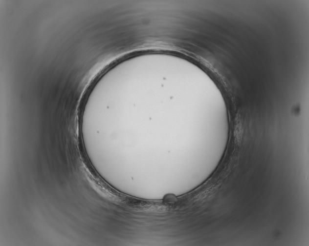 X0000115601372200912011517