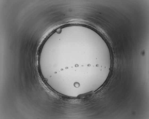 X0000115601376200912011517