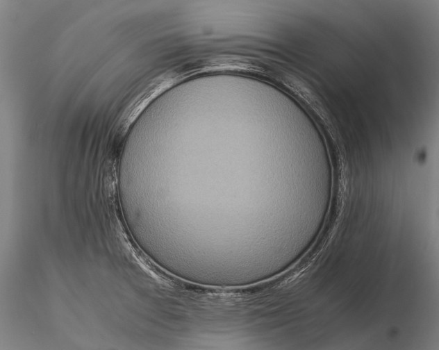 X0000115601377200912011517