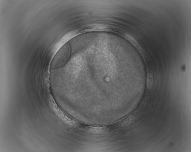 X0000115601378200912011517