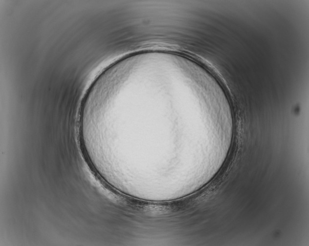 X0000115601379200912011517