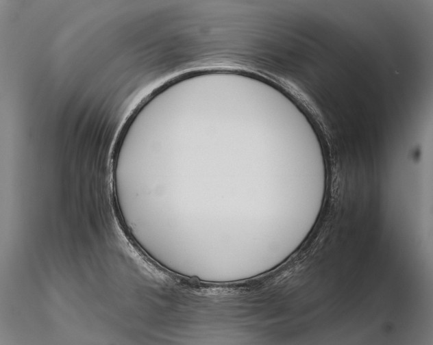 X0000115601380200912011517