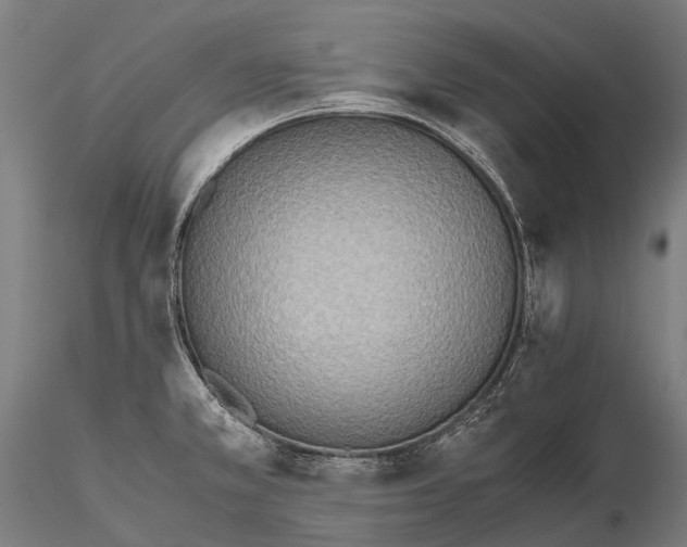 X0000115601381200912011517